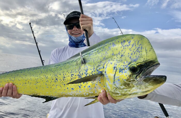 Sailfish and Mahi-Mahi Are Biting Near Shore