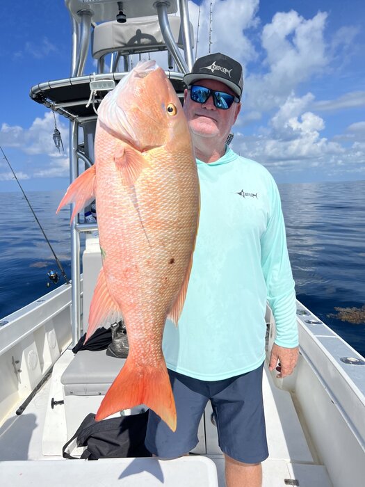 Santa is Bringing Sailfish and Snapper!