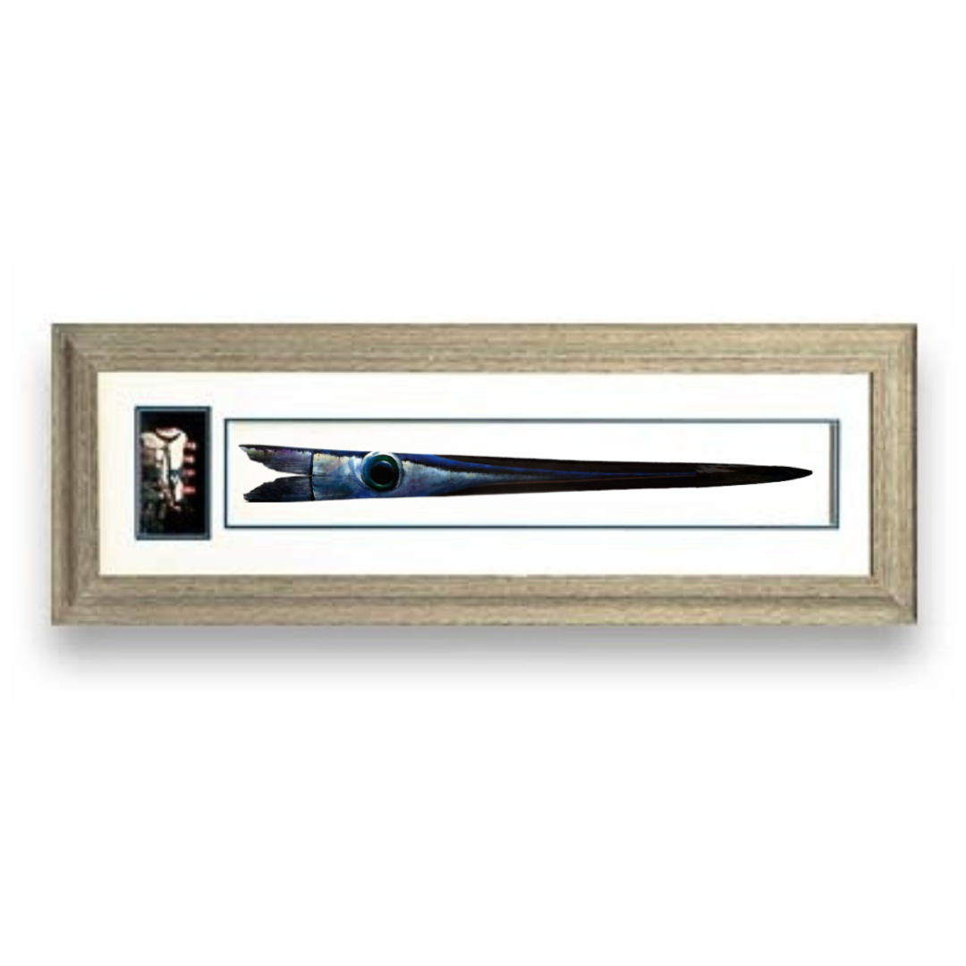 Custom Swordfish Bill - Framed