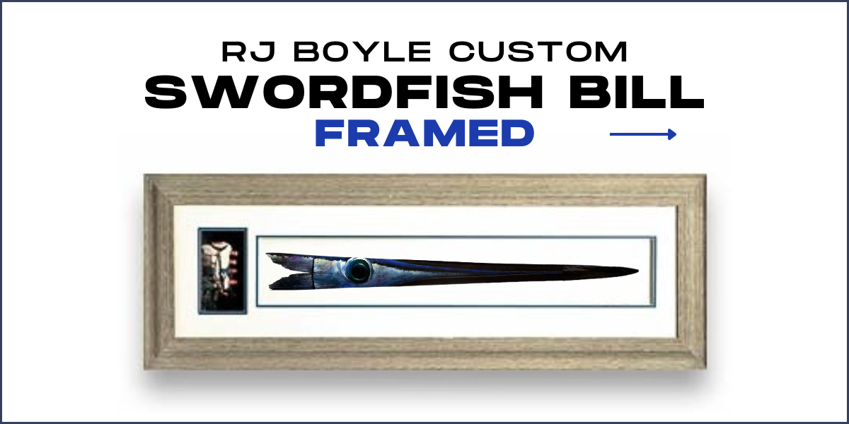 Swordfish Bills - Framed