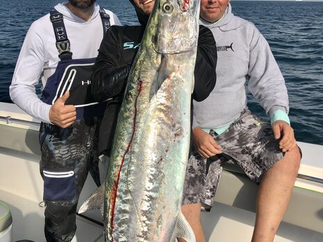 It's Time For The Giant Kingfish To Move Into Our Waters!