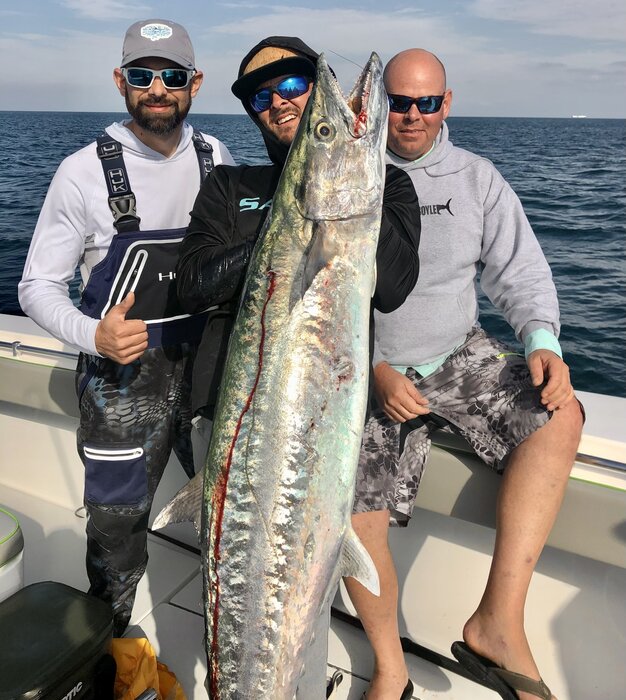 It's Time For The Giant Kingfish To Move Into Our Waters!