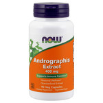 Now Andrographis Extract - 90 Veg Capsules