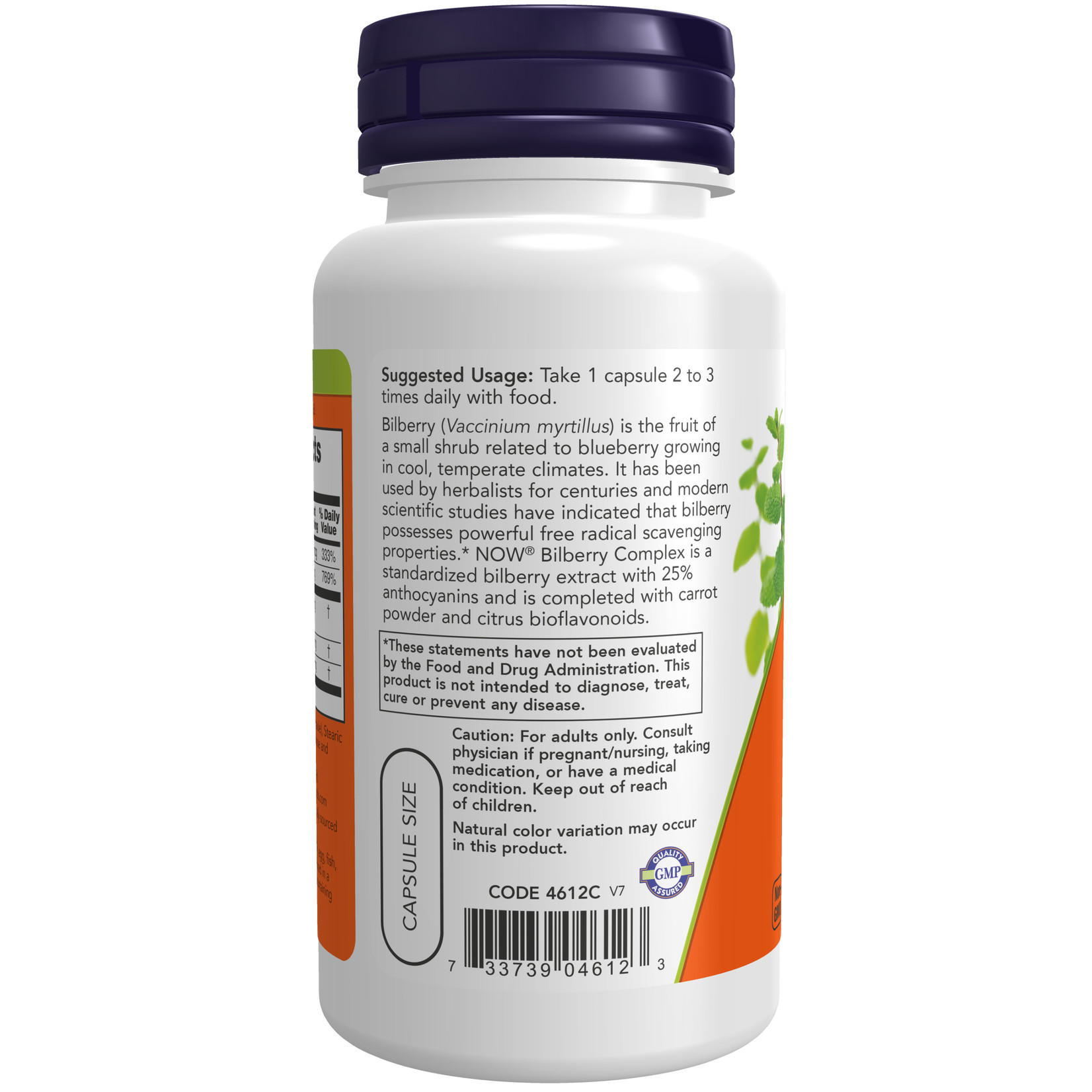 Now Now - Bilberry Complex 80 mg - 100 Capsules