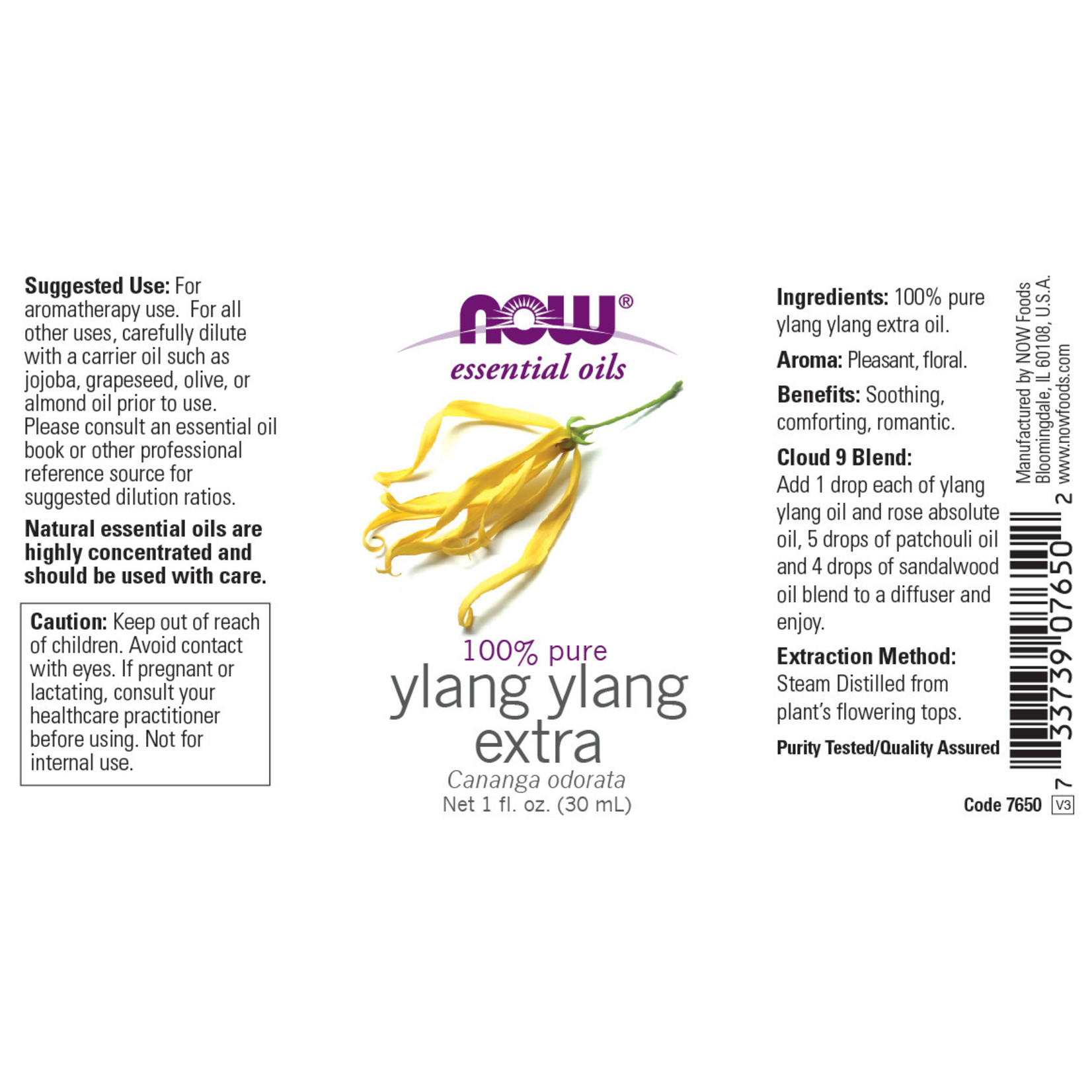 Now Now - Ylang Ylang Oil - 1 oz
