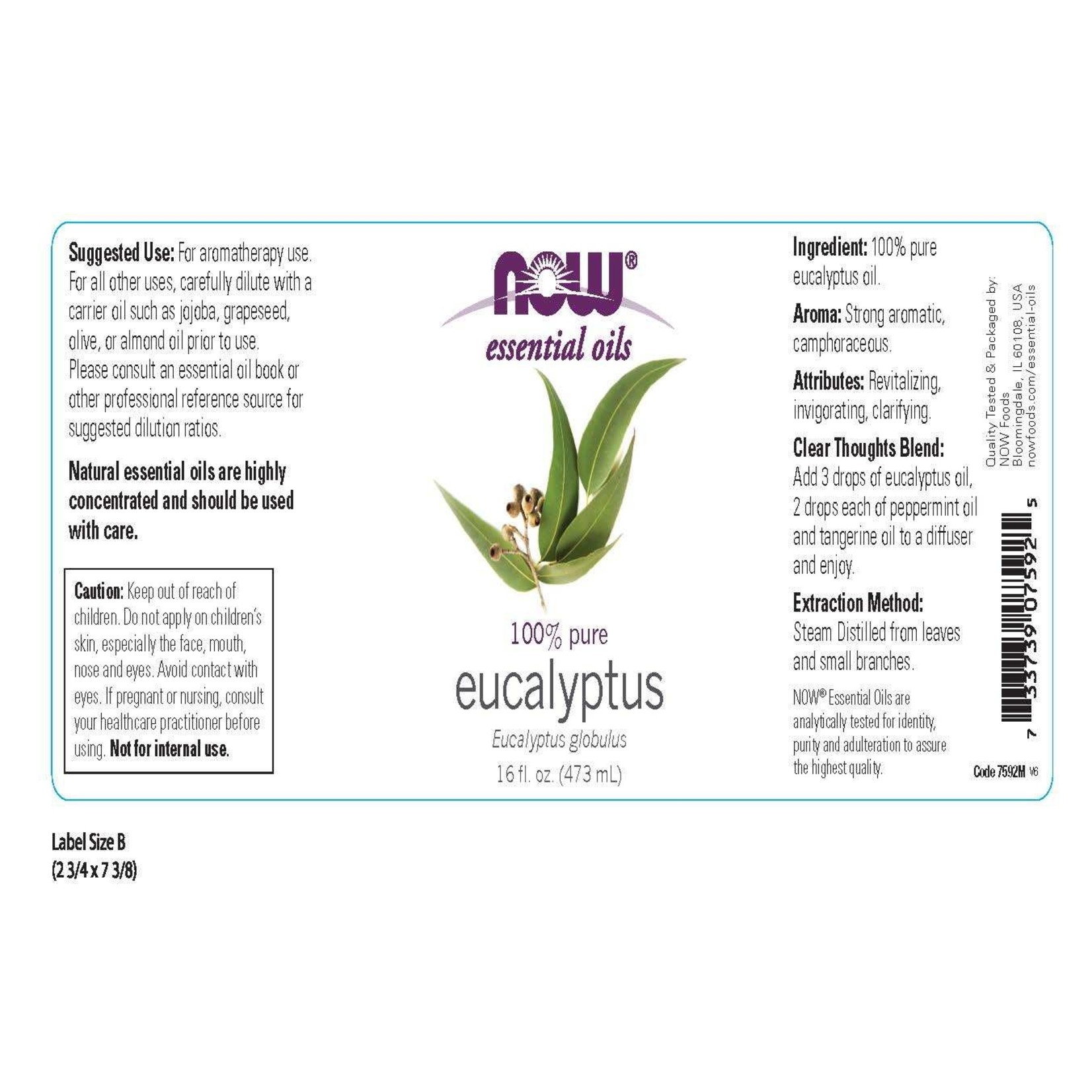 Now Now - Eucalyptus Oil - 16 oz