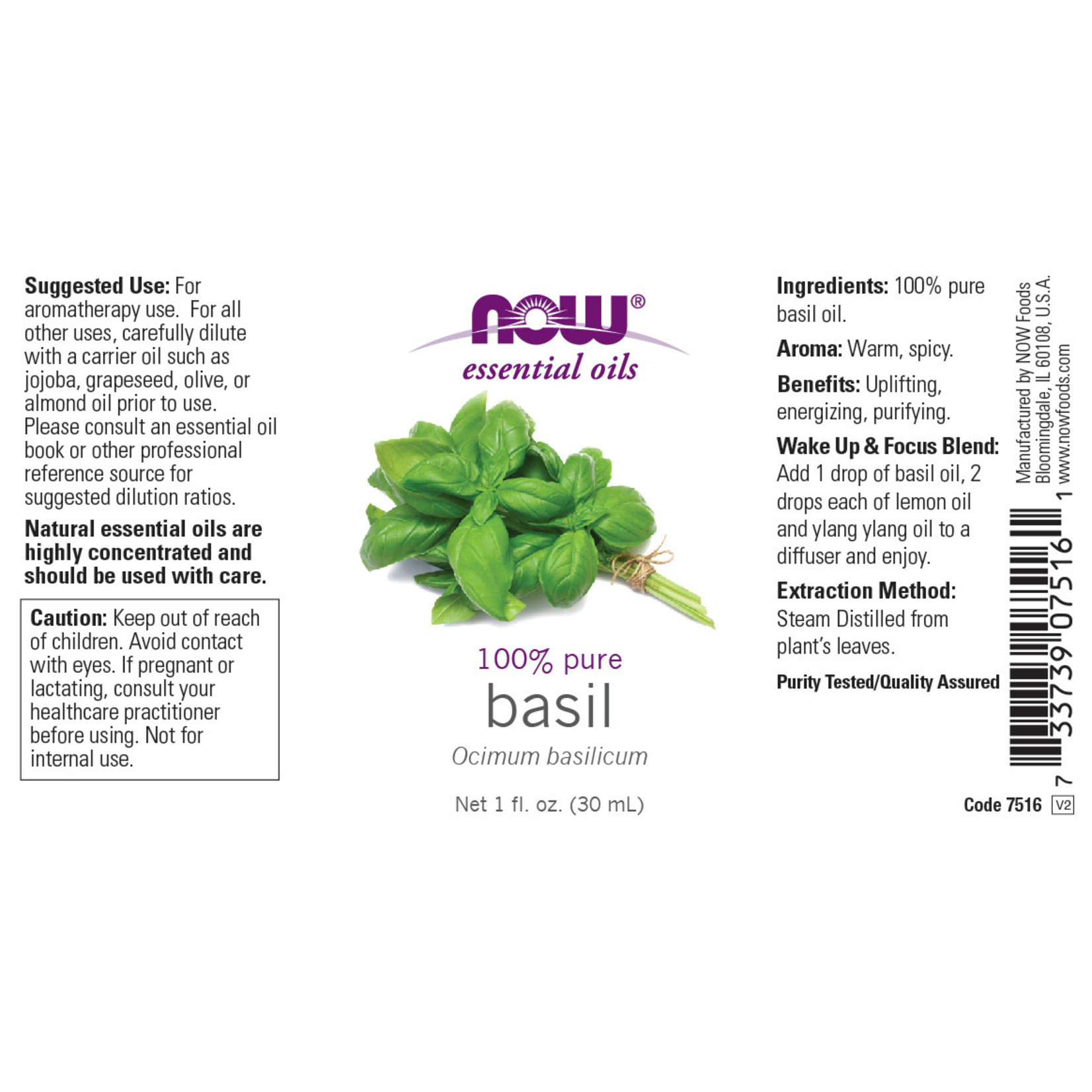 Now Now - Basil Oil - 1 oz