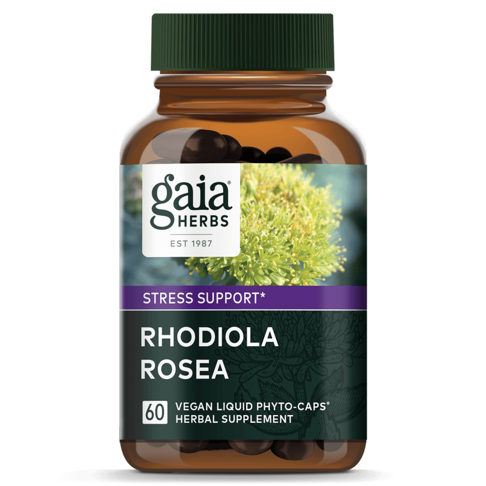 Gaia Herbs Gaia Herbs - Rhodiola Rosea