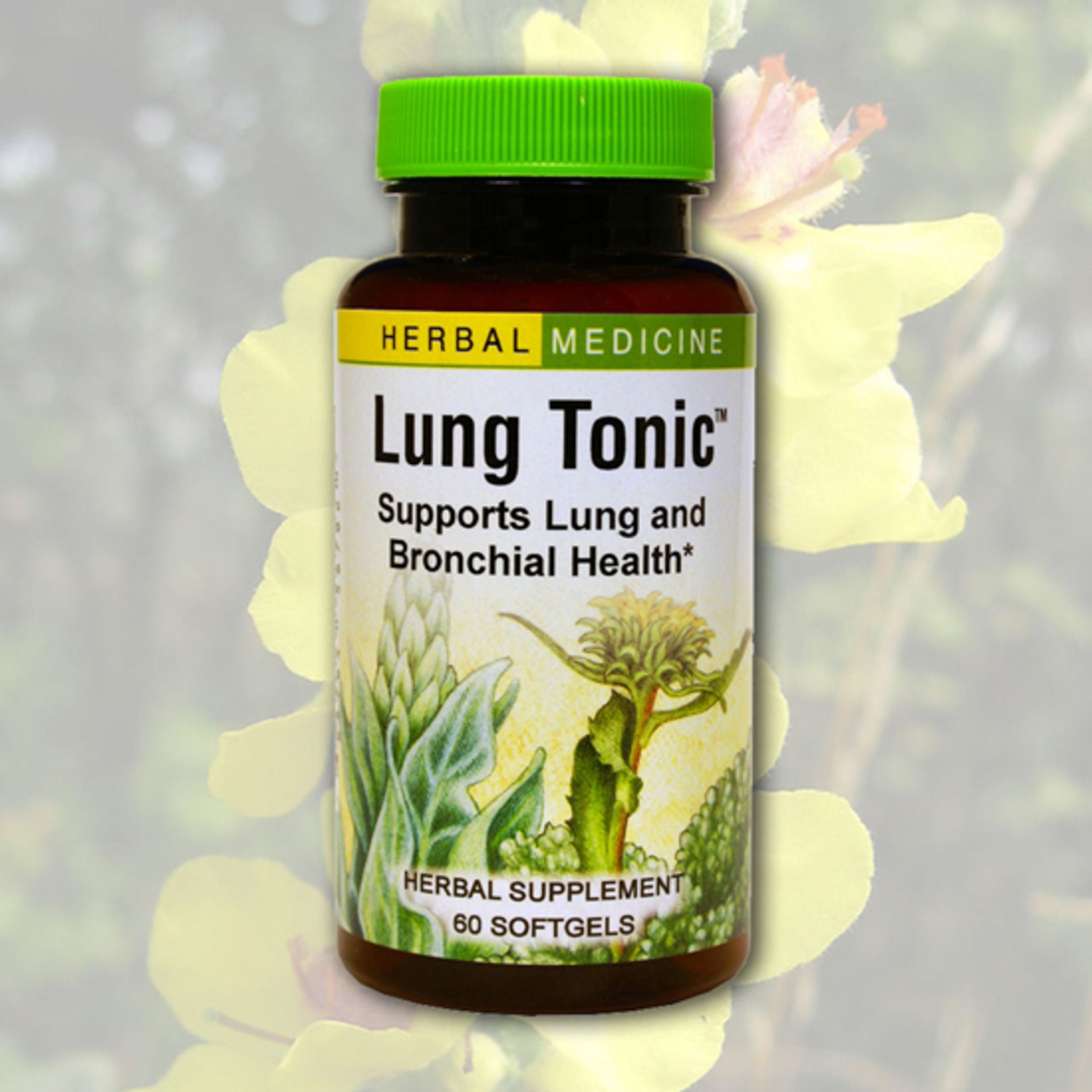 Herbs Etc Herbs Etc - Lung Tonic - 60 Capsules