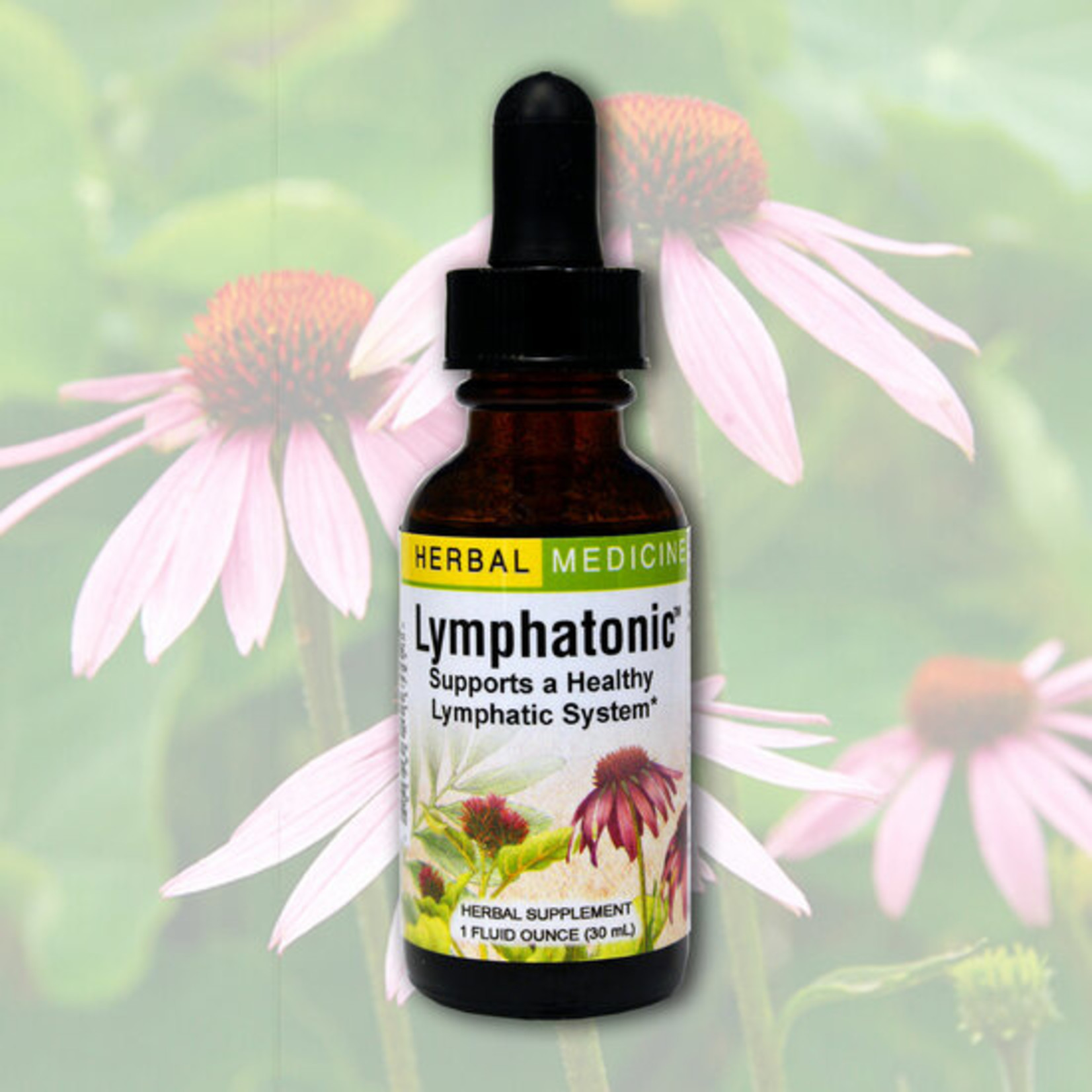 Herbs Etc Herbs Etc - Lymphatonic - 1 oz