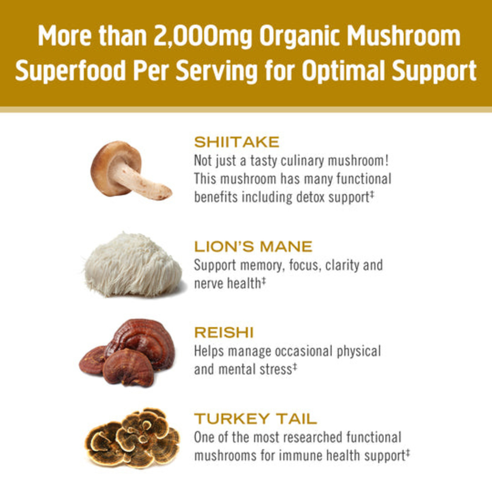 Om Mushroom Om - Box of Chicken Bone Broth - 10 Packs
