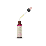 Bach Flower Remedies Essence Star Of Bethlehem - 20 ml