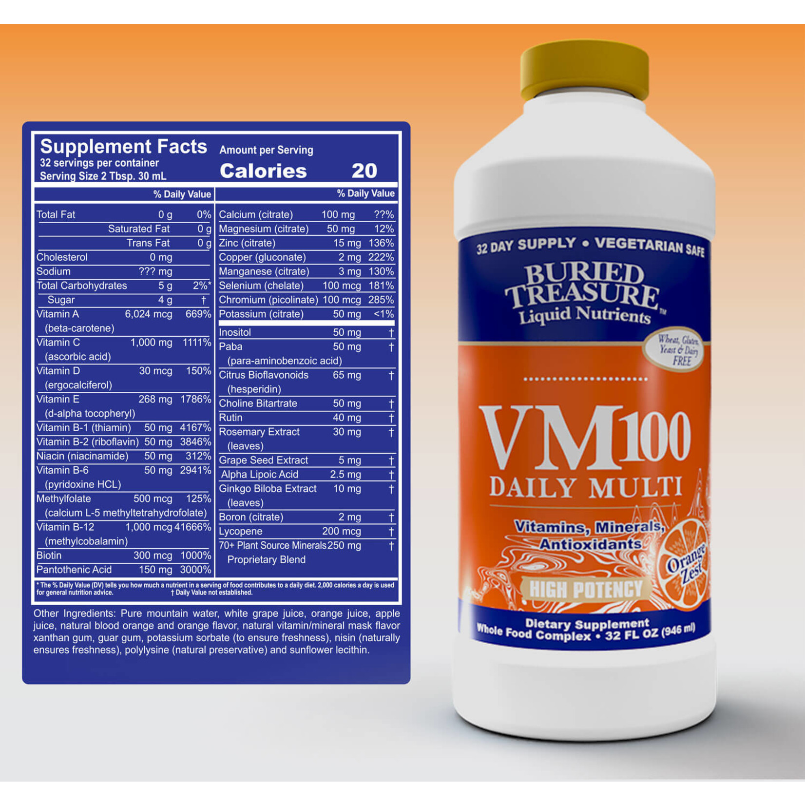 Buried Treasure Buried Treasure - VM 100 Daily Multivitamin - 32 oz