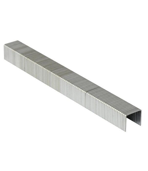 Sterling 6mm A11 Style Staples - box 2000