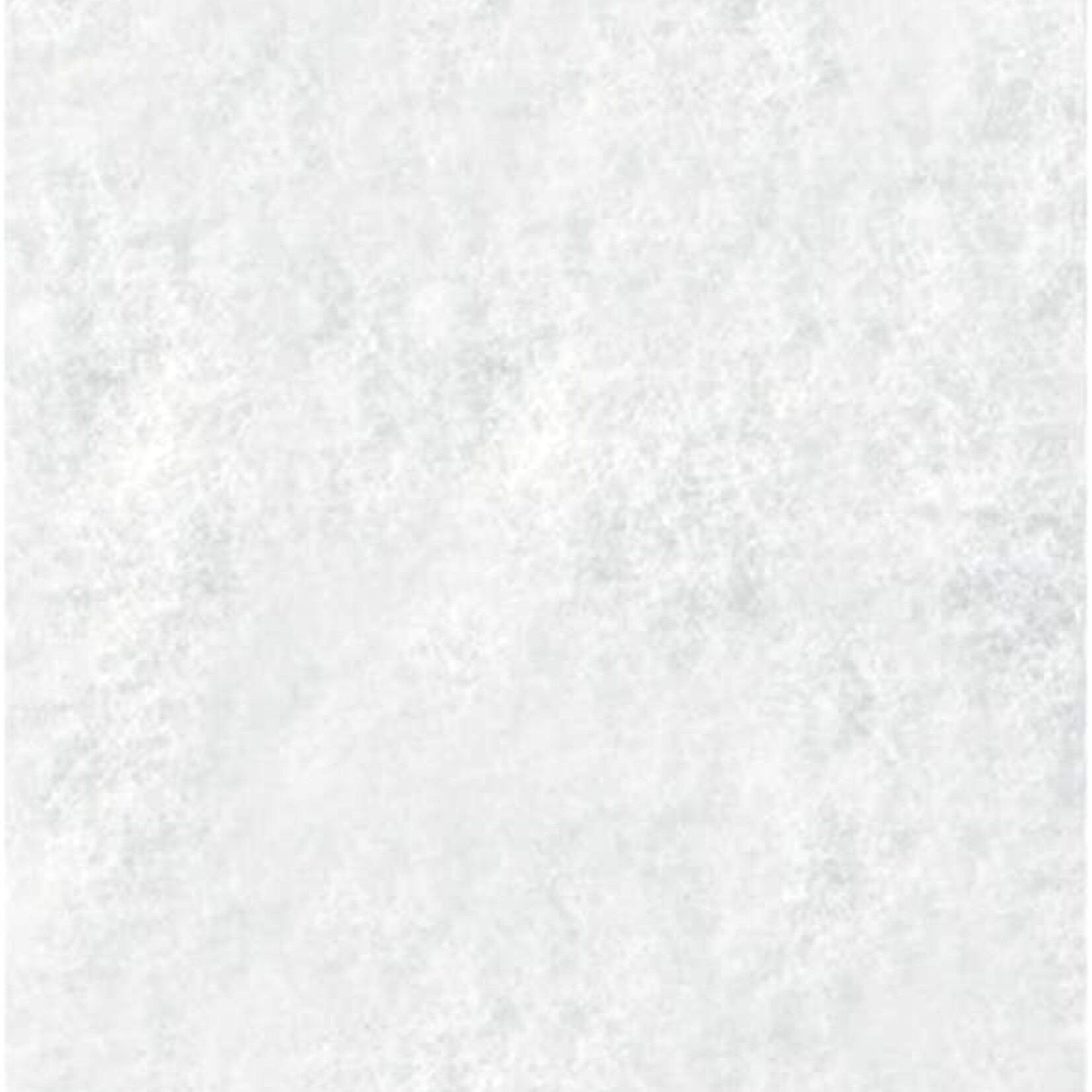 Raimondi Raimondi Scouring Pad - Fine (White)