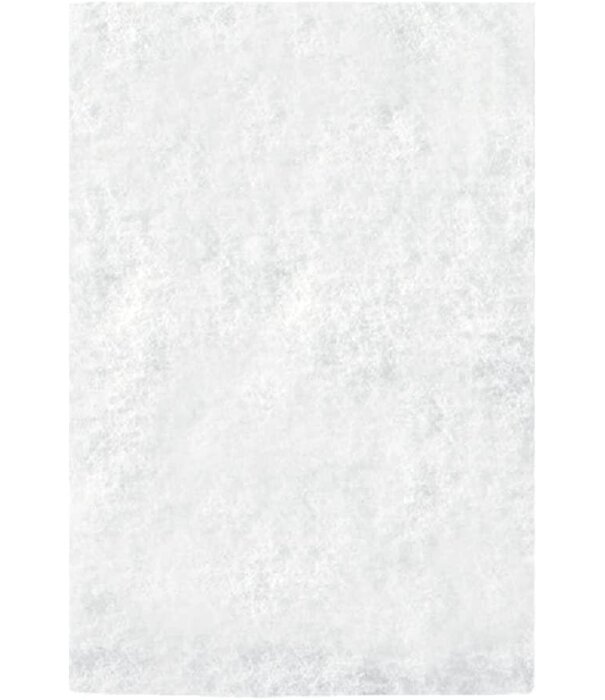 Raimondi Raimondi Scouring Pad - Fine (White)