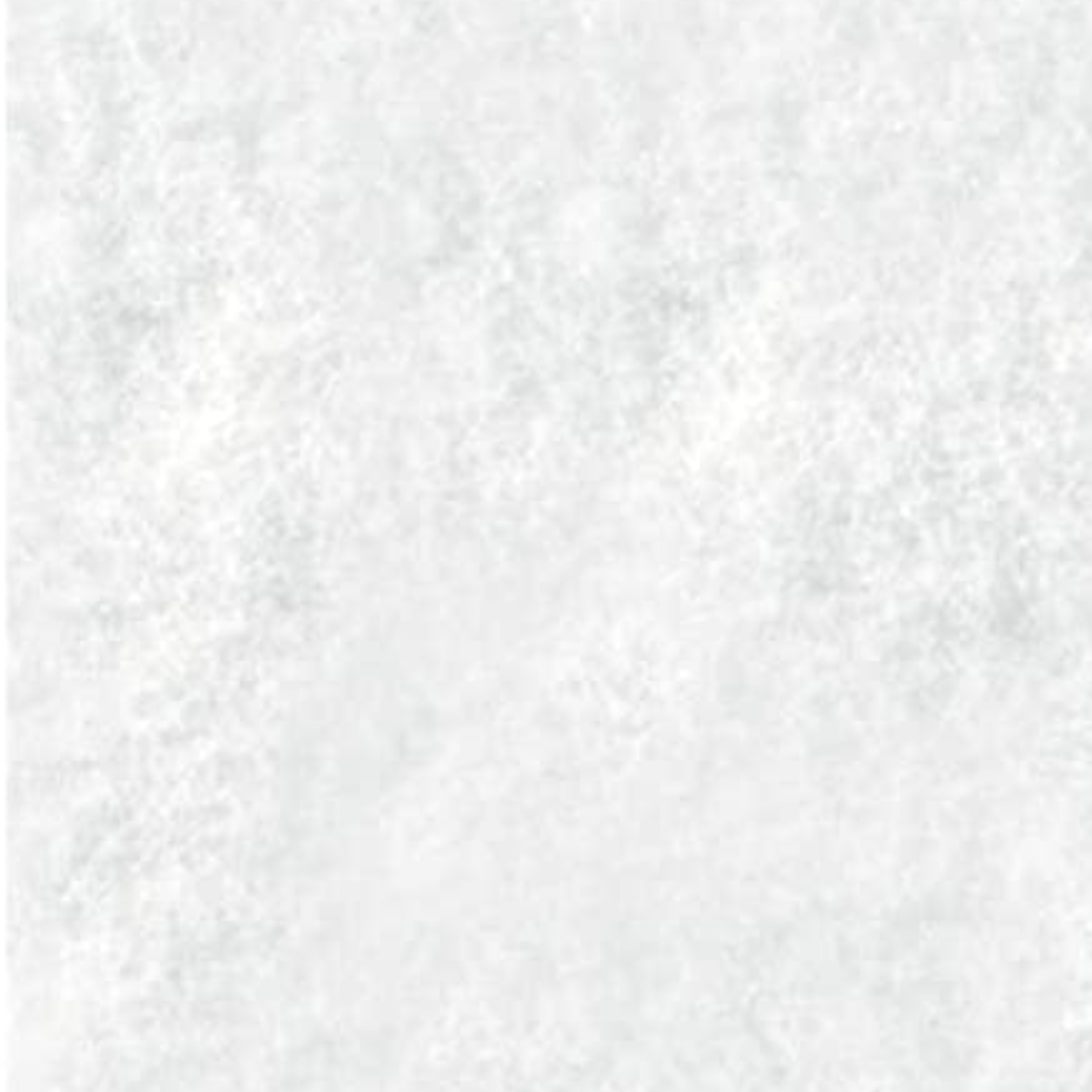 Raimondi Raimondi Scouring Pad - Fine (White)