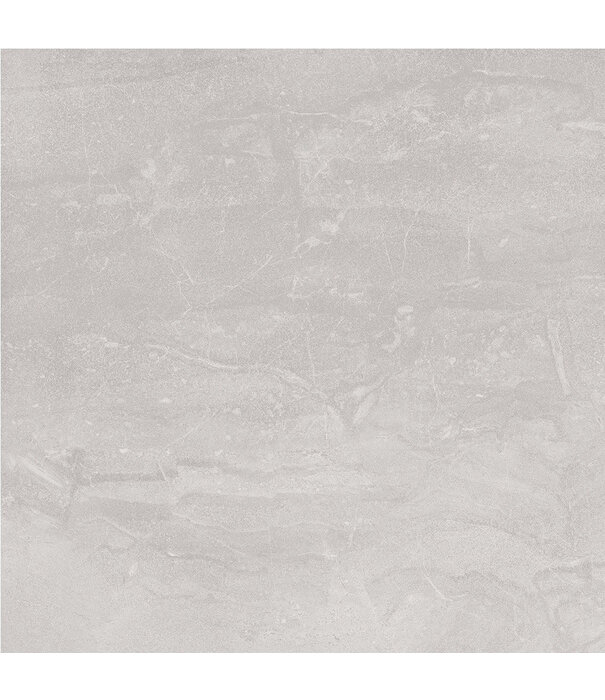 Stoneworld DAZZLE  300x600 MATT Bone