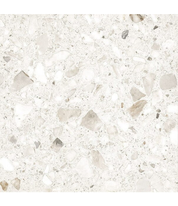 Stoneworld TERRAZZO STONE 600X600 MATT