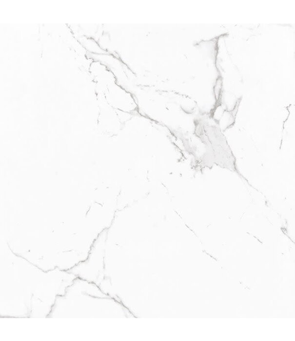 Stoneworld VENETO CARRARA 600X600 MATT