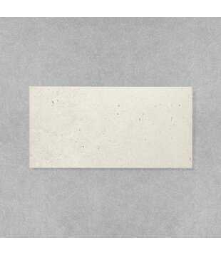 Toscana 300x600 Matt