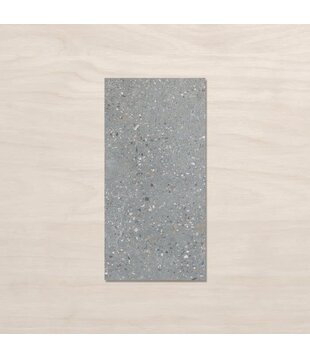 Urban Cement Grey 300x600 Grit