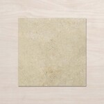 Johnson Tiles Desert Taupe 450x450 clay