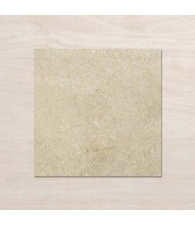 Desert Taupe 450x450 clay
