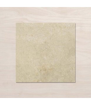 Desert Taupe 450x450 clay