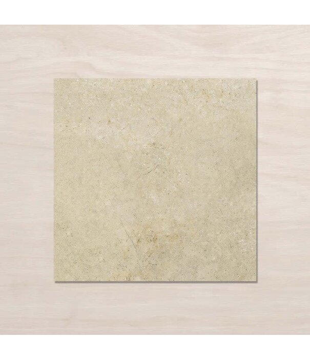 Johnson Tiles Desert Taupe 450x450 clay