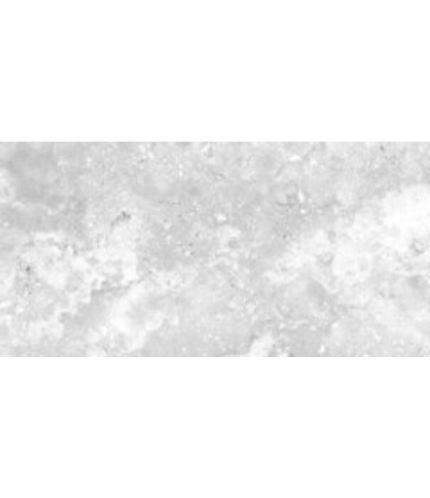 ENTIVA CROSS CUT SILVER  300X600