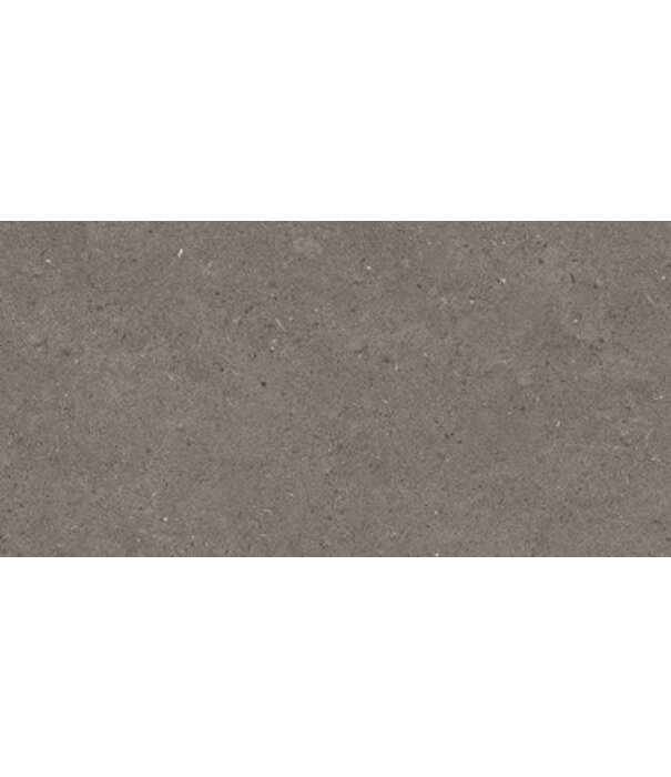 Volare ENTIVA SPARK CHARCOAL MATT  300x600