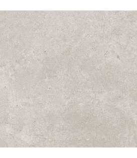ENTIVA NORDIKA SILVER MATT 600x600