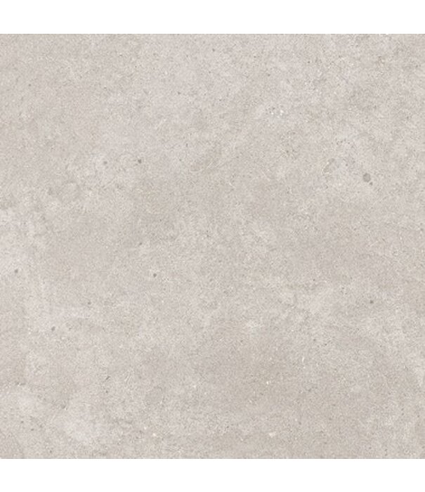 Volare ENTIVA NORDIKA SILVER MATT 600x600