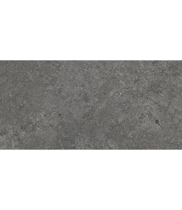 Volare ENTIVA NORDIKA ANTRACITA MATT 300x600