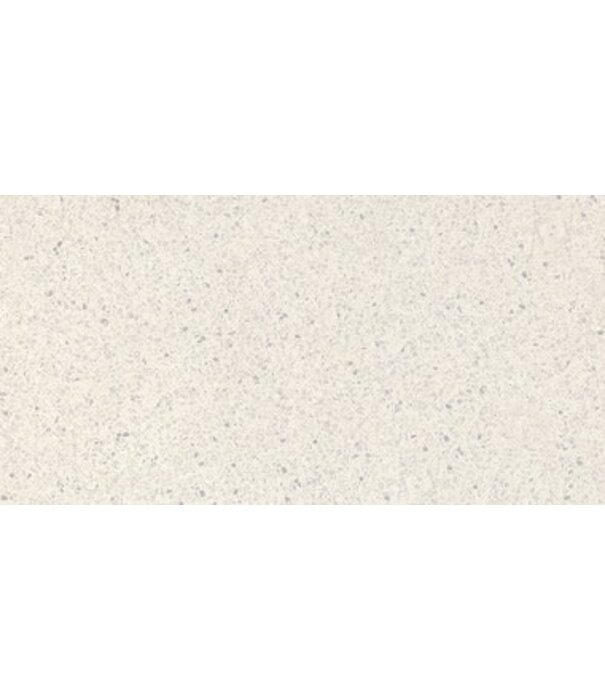 Volare ENTIVA TERRAZZO WHITE MATT 300x600