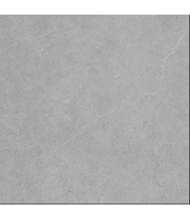 ENTIVA BERLIN GREY LAPPATO 300*600 REC.