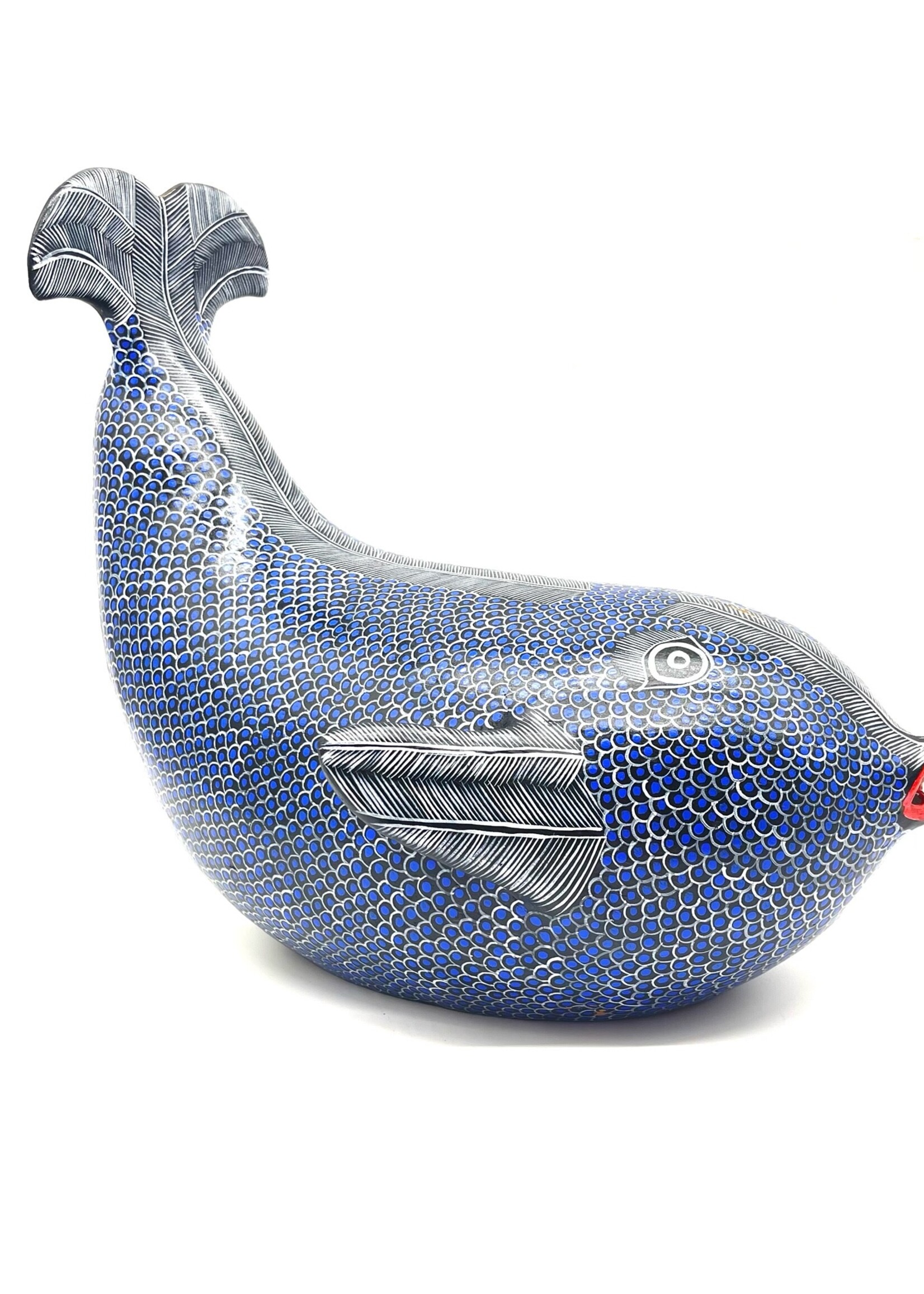 SF-MEDIUM WHALE  2022