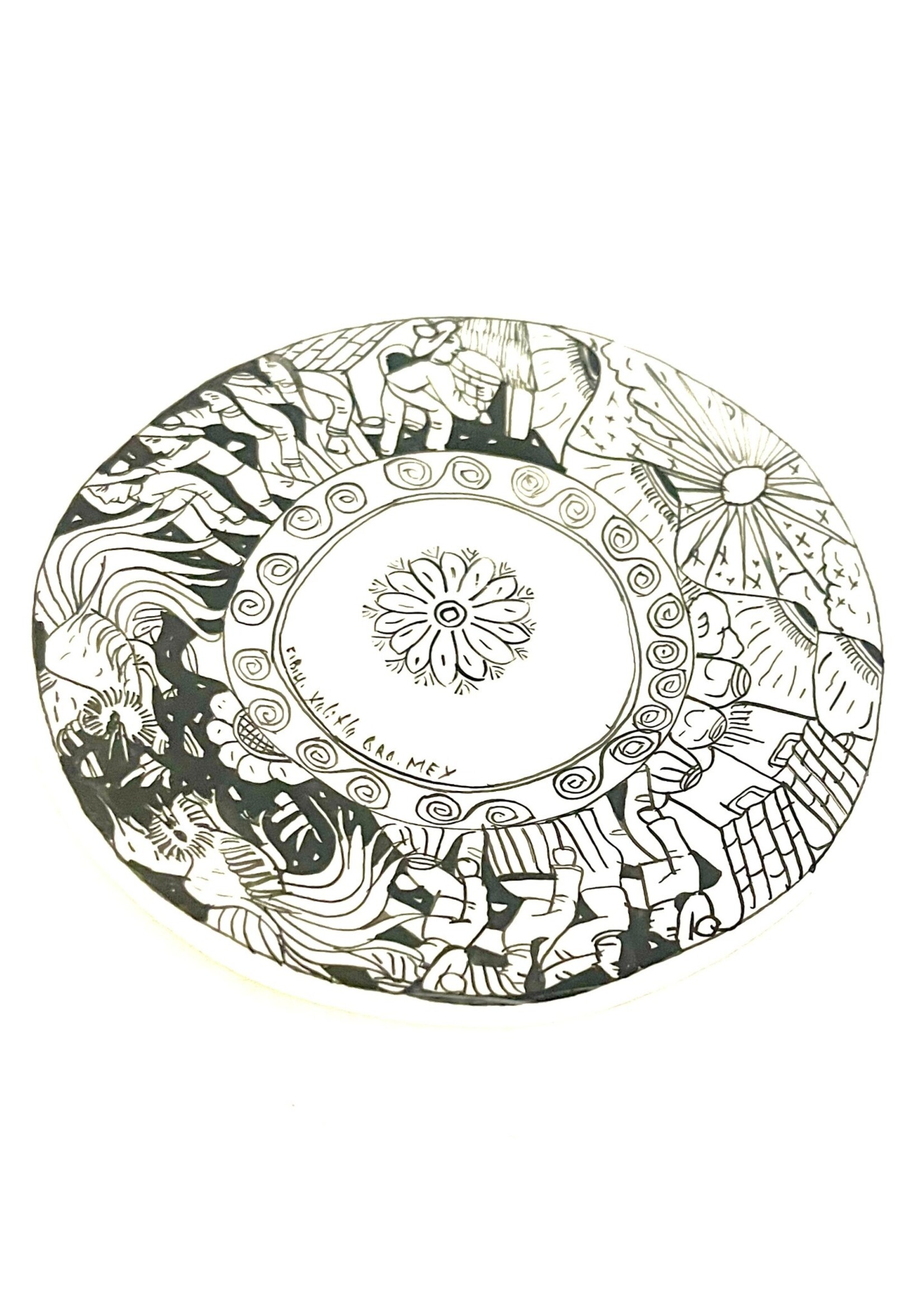 PLATO BOTANERO XALITLA