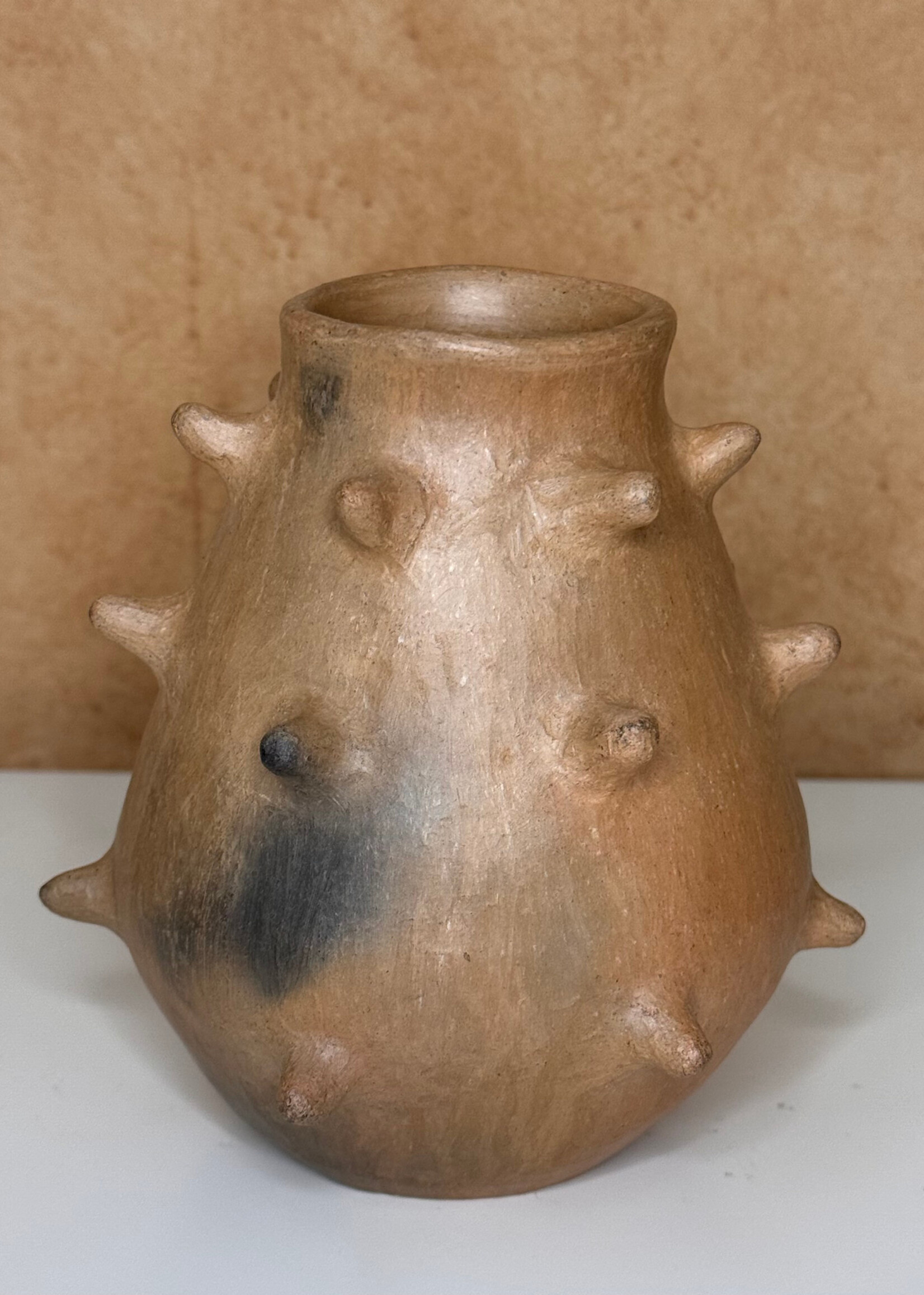 OLLA DE PICOS