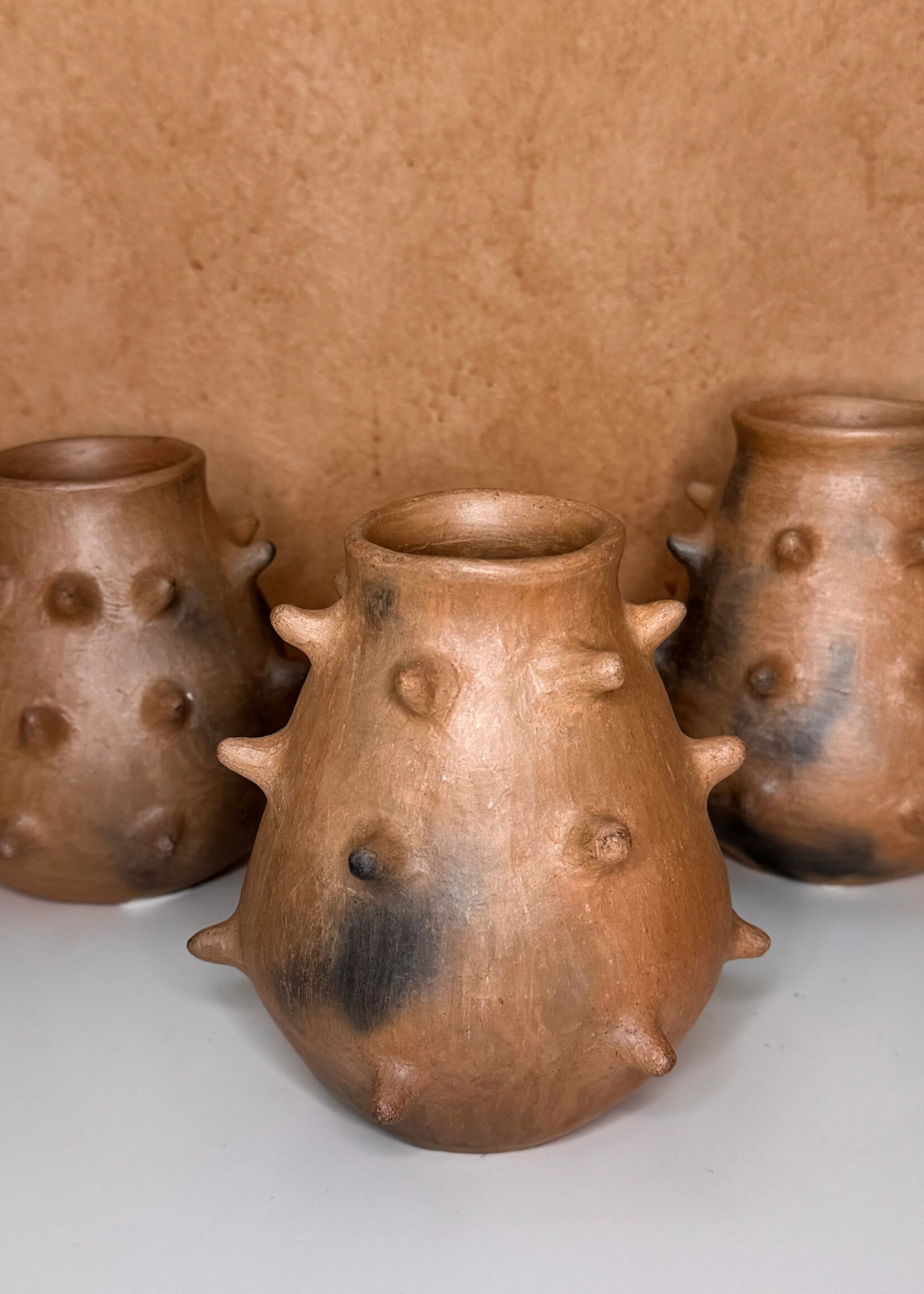 OLLA DE PICOS