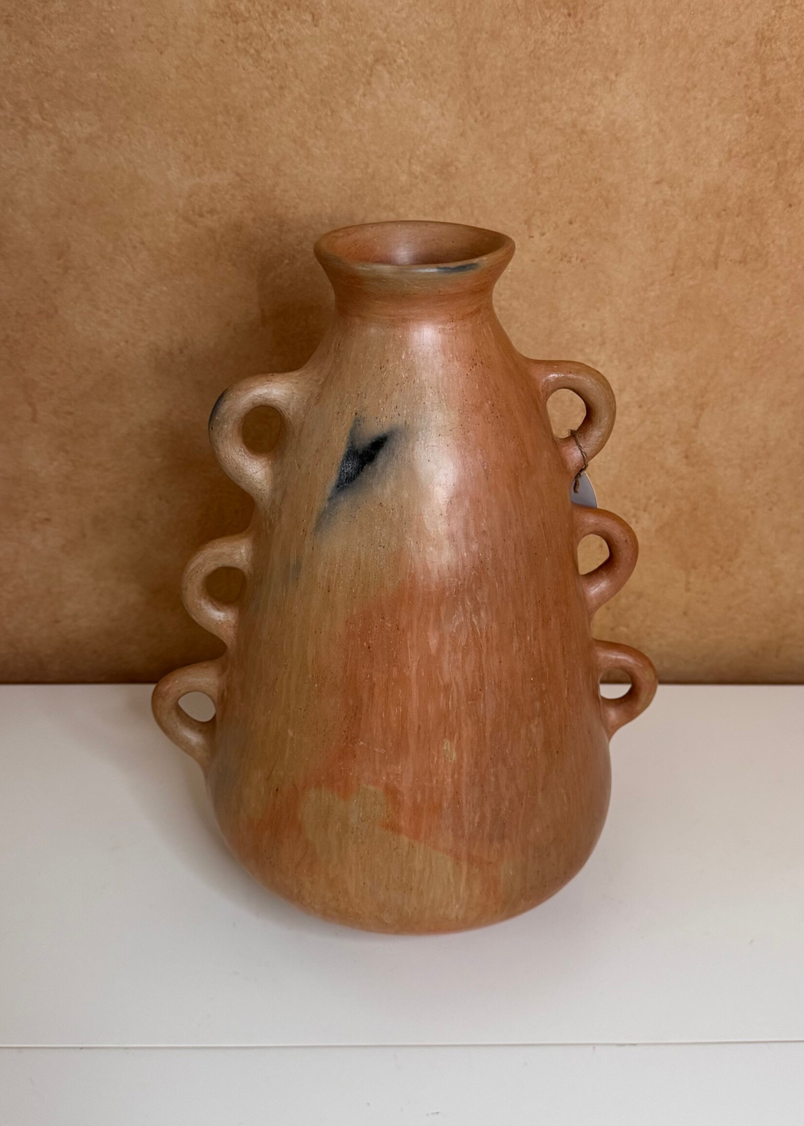 OLLA CON 6 OREJAS LATERALES