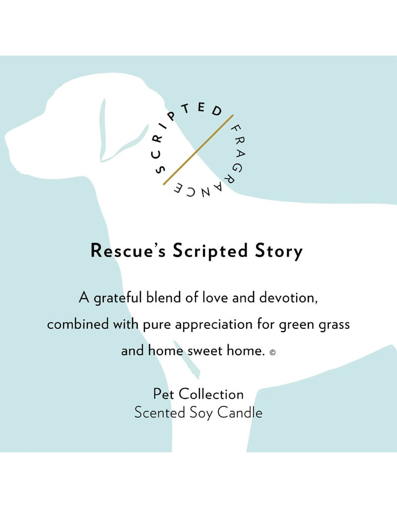 Scripted Fragrance Rocks Glass Soy Candle-Rescue