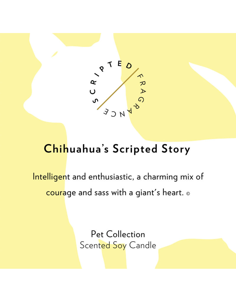 Scripted Fragrance Rocks Glass Soy Candle-Chihuahua