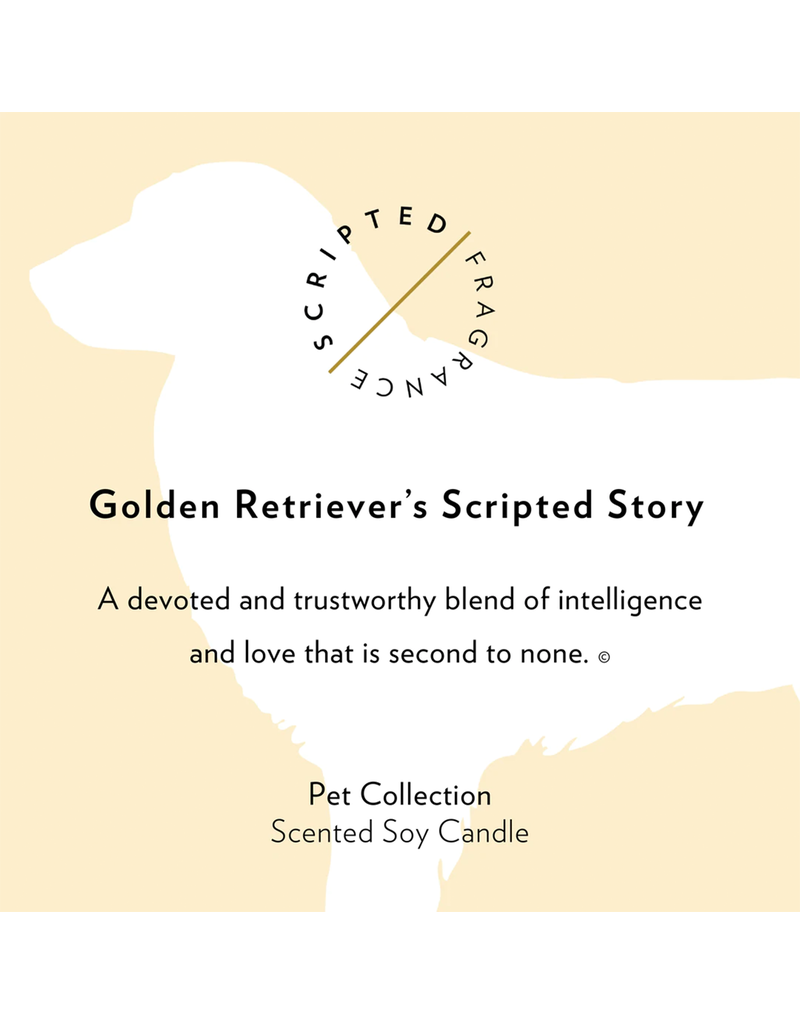 Scripted Fragrance Rocks Glass Soy Candle-Golden Retreiver zs