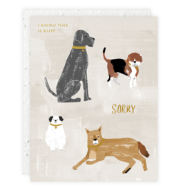 Seedlings Seedlings Dog Cards