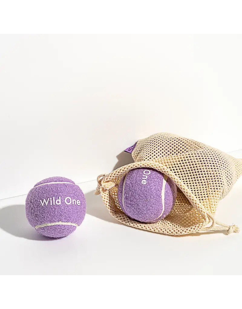 Wild One 4 Pack Tennis Balls