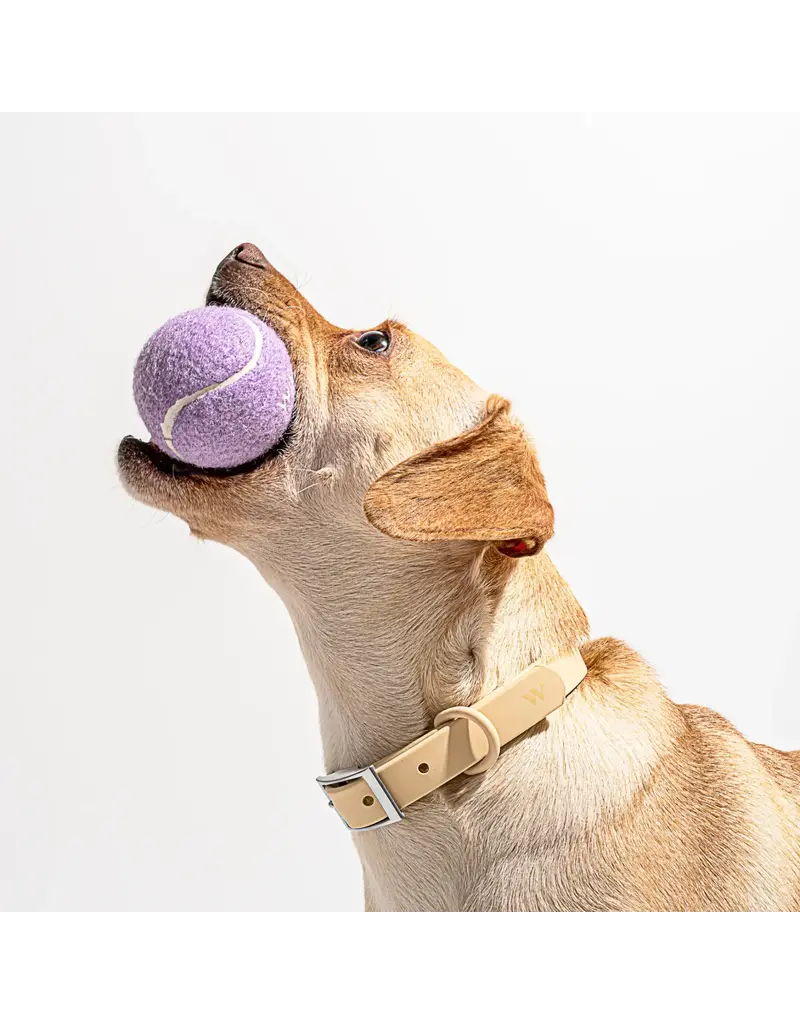 Wild One 4 Pack Tennis Balls