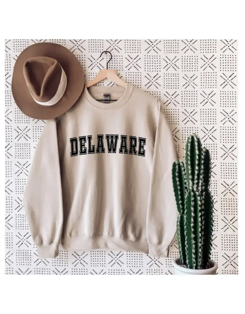 Basic and Peachy Delaware Sweatshirt