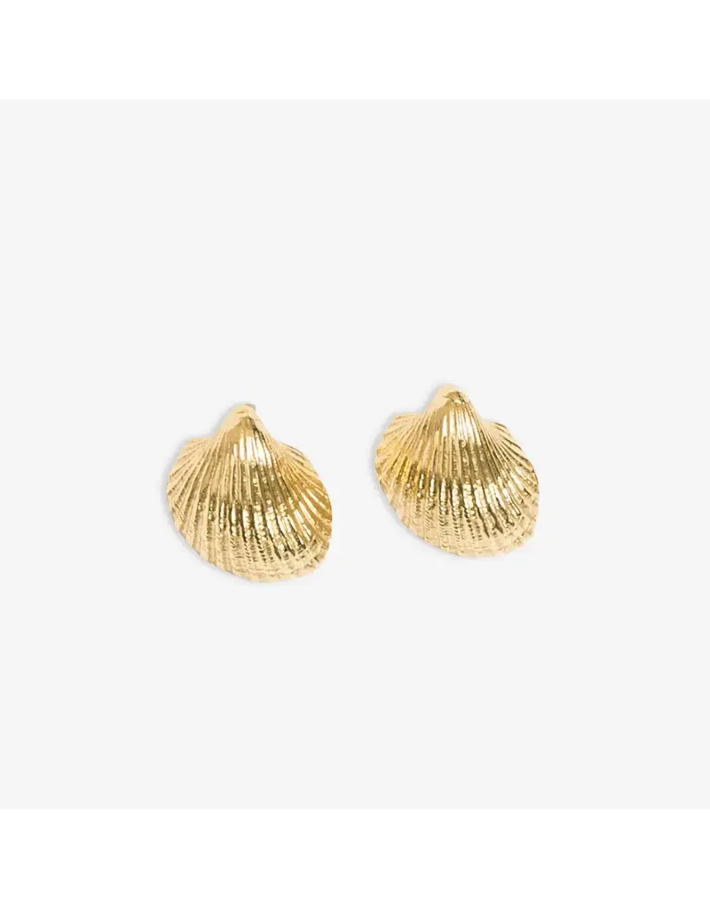 Ink + Alloy Pearl Cockle Shell Earrings Brass